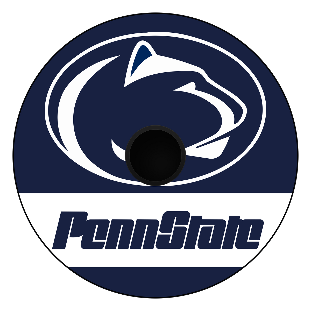 Penn State board design